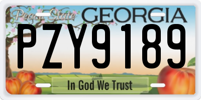 GA license plate PZY9189