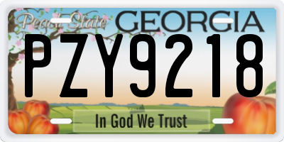 GA license plate PZY9218
