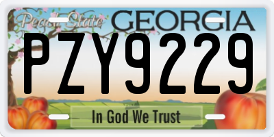 GA license plate PZY9229