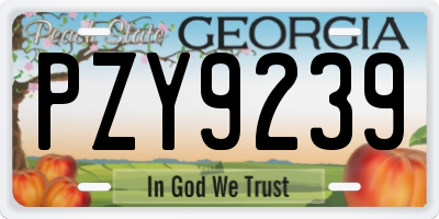 GA license plate PZY9239
