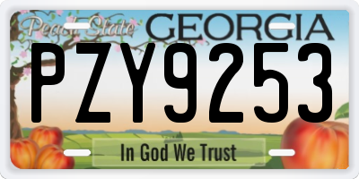 GA license plate PZY9253