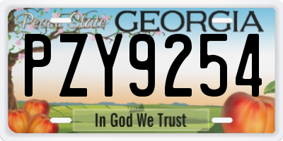 GA license plate PZY9254