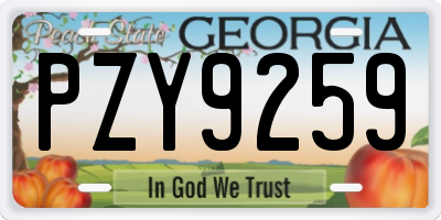GA license plate PZY9259