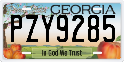 GA license plate PZY9285