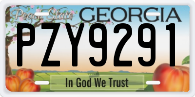 GA license plate PZY9291
