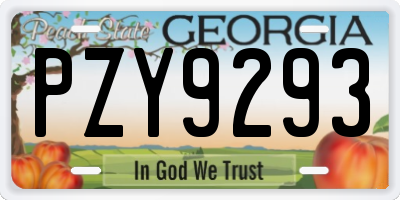 GA license plate PZY9293