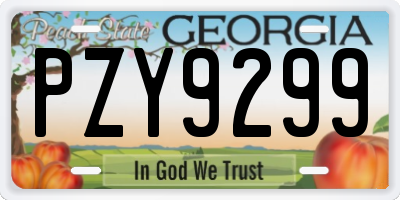 GA license plate PZY9299