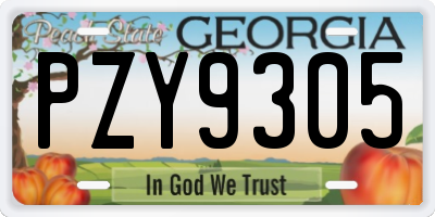 GA license plate PZY9305