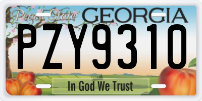 GA license plate PZY9310
