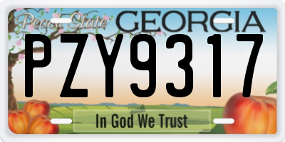 GA license plate PZY9317