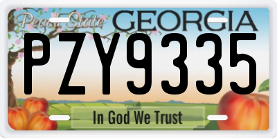 GA license plate PZY9335