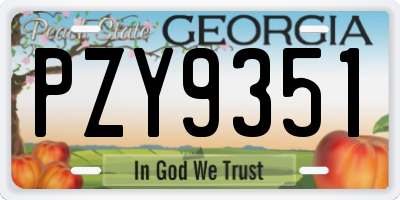GA license plate PZY9351