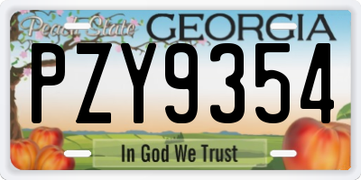 GA license plate PZY9354