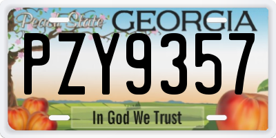 GA license plate PZY9357