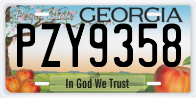 GA license plate PZY9358