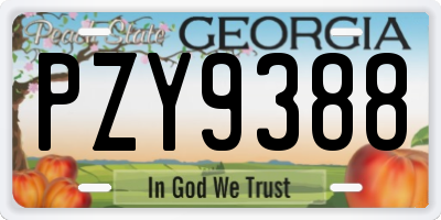 GA license plate PZY9388