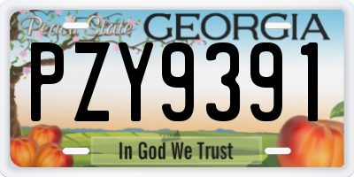 GA license plate PZY9391