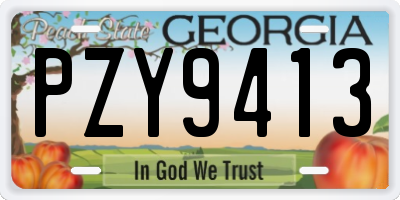 GA license plate PZY9413