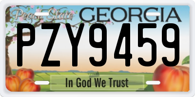 GA license plate PZY9459