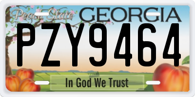 GA license plate PZY9464