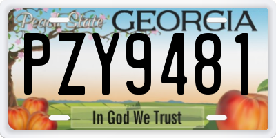 GA license plate PZY9481