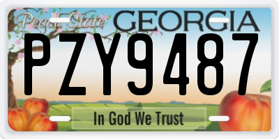 GA license plate PZY9487