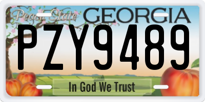 GA license plate PZY9489