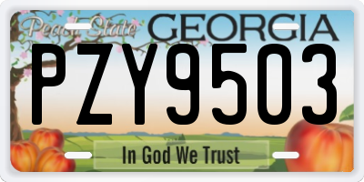 GA license plate PZY9503