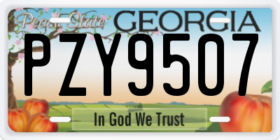 GA license plate PZY9507