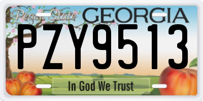 GA license plate PZY9513
