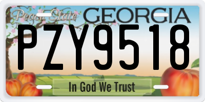 GA license plate PZY9518