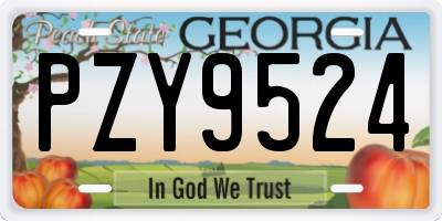 GA license plate PZY9524