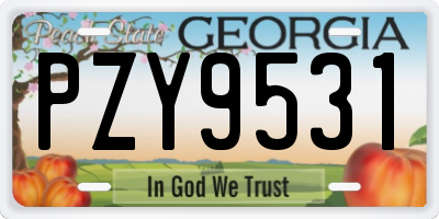 GA license plate PZY9531
