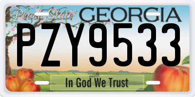 GA license plate PZY9533
