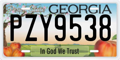 GA license plate PZY9538