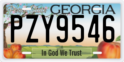GA license plate PZY9546