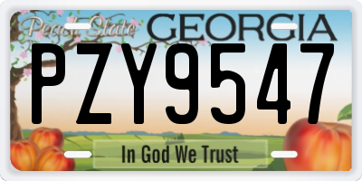 GA license plate PZY9547