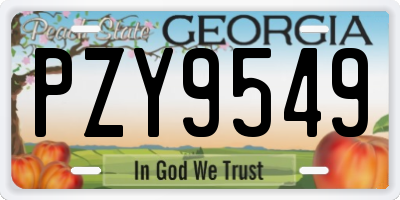 GA license plate PZY9549
