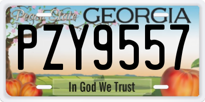 GA license plate PZY9557