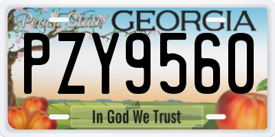 GA license plate PZY9560