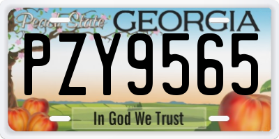 GA license plate PZY9565