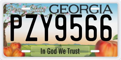 GA license plate PZY9566