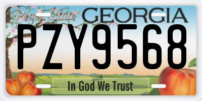 GA license plate PZY9568