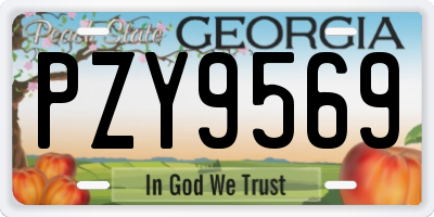 GA license plate PZY9569