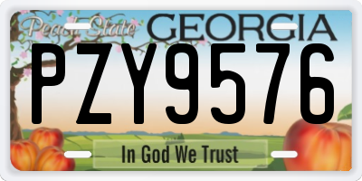 GA license plate PZY9576