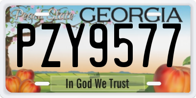 GA license plate PZY9577