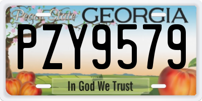 GA license plate PZY9579
