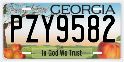 GA license plate PZY9582