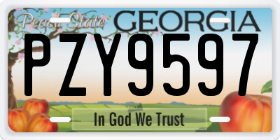 GA license plate PZY9597