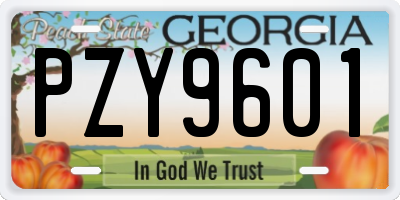 GA license plate PZY9601